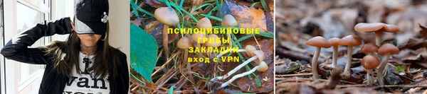амф Покачи