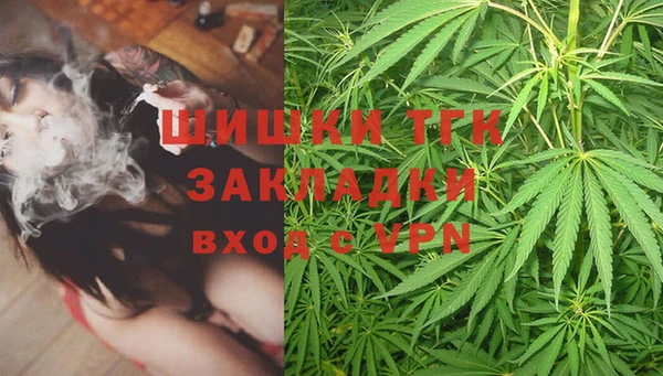 амф Покачи