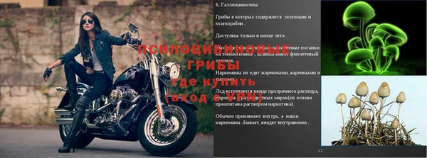 шишки Покров