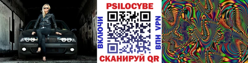 Купить где  Кушва  Галлюциногенные грибы Psilocybe 